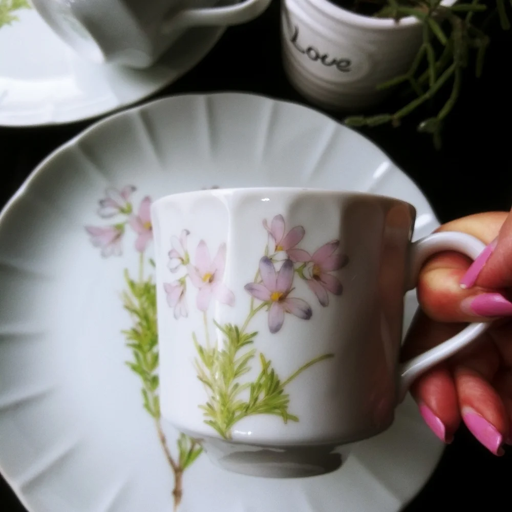 Vintage The Toscany Collection Vintage Japan Cups